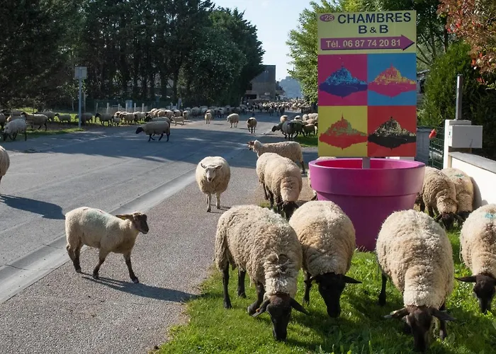 Bed and breakfast Mon Saint Michel Ardevon